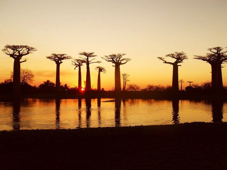 Paysage de Madagascar